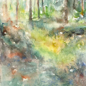 Syksy on saapunut hiljaa, kuin vanha ystävä, joka ei tarvitse sanoja. Harva metsä päästää valon lävitseen ja jokainen säde tuntuu koskettavan sammalta kuin hyväily.